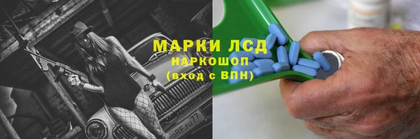 шишки Горнозаводск